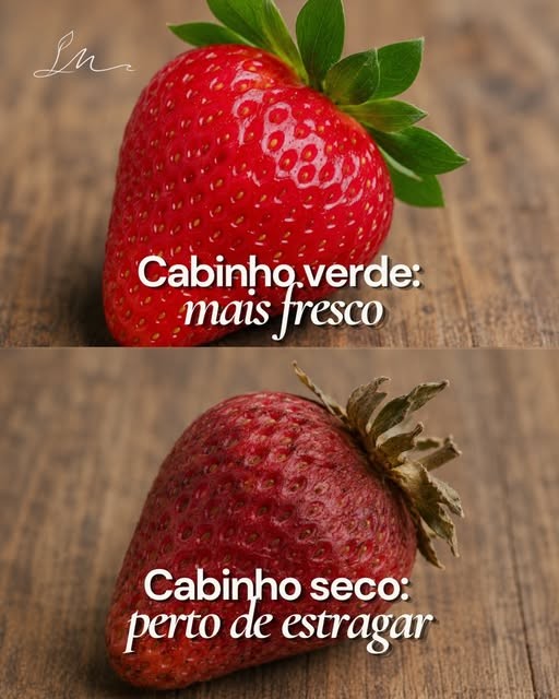 Laura Matta, nutricionista em Icaraí